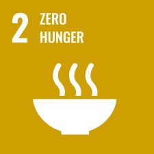 Sustainable Development Goal 2