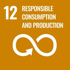 Sustainable Development Goal 12